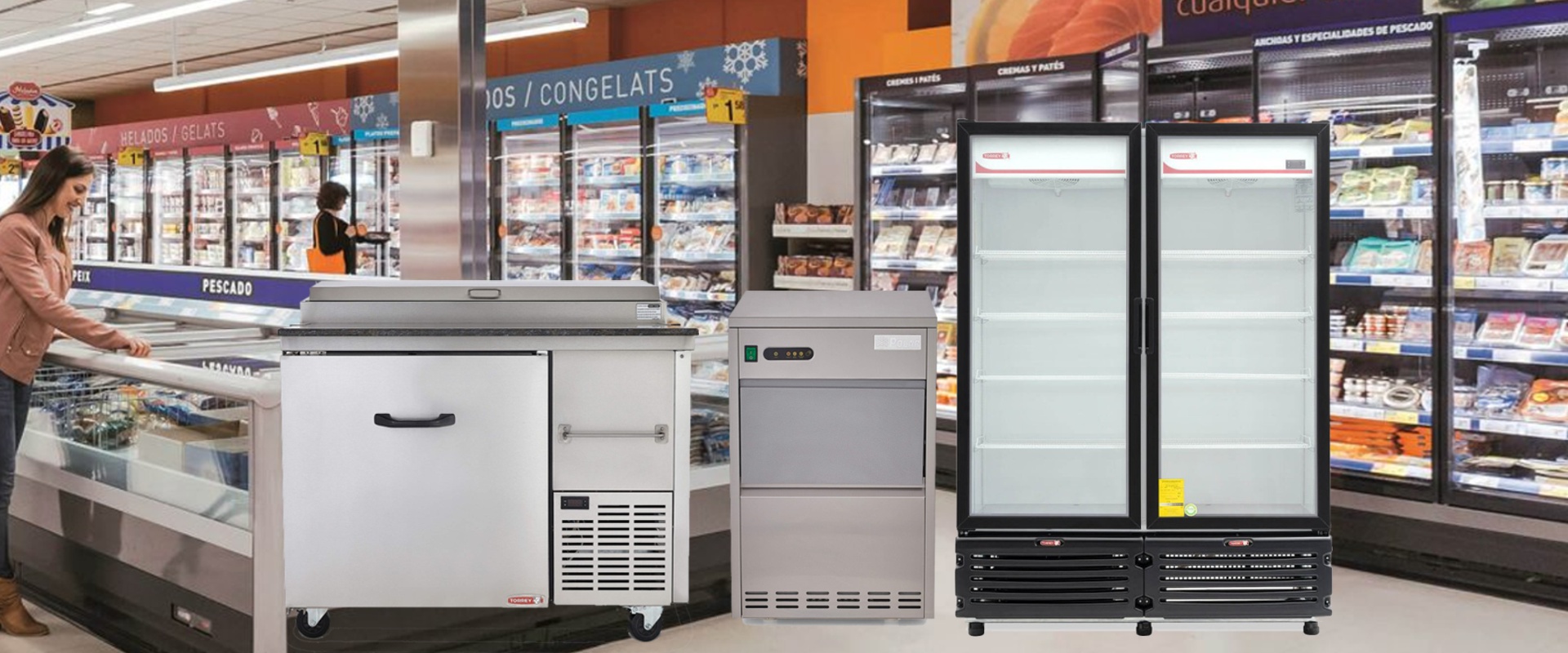 SERVICIO TÉCNICO TORREY